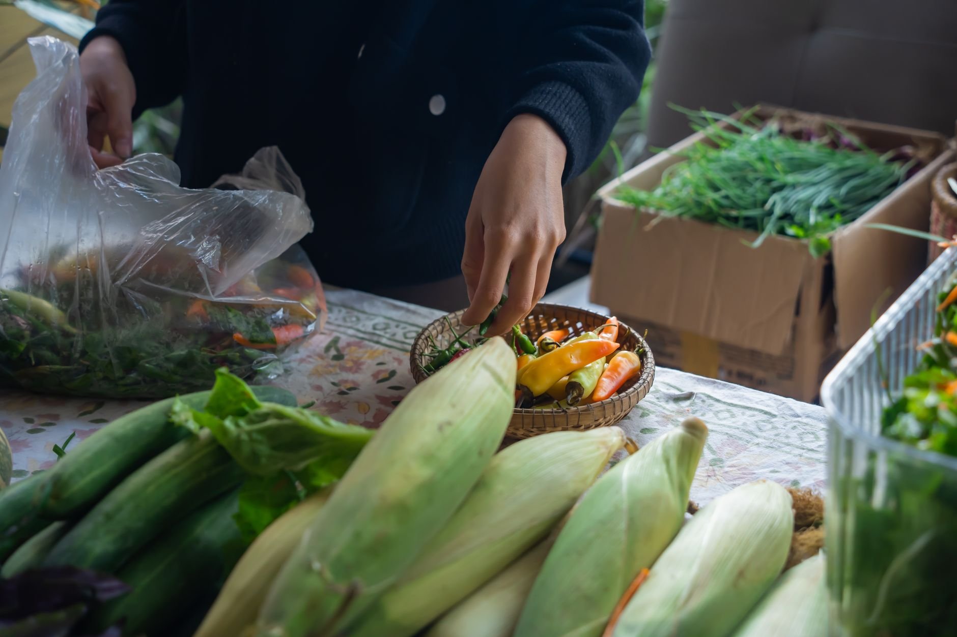 A person selects fresh vegetables at a farmers market stall with diverse produce on display.